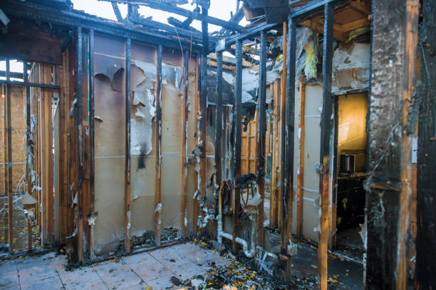 Professional Fire Damage Repair technician working in Edinburgh, IN